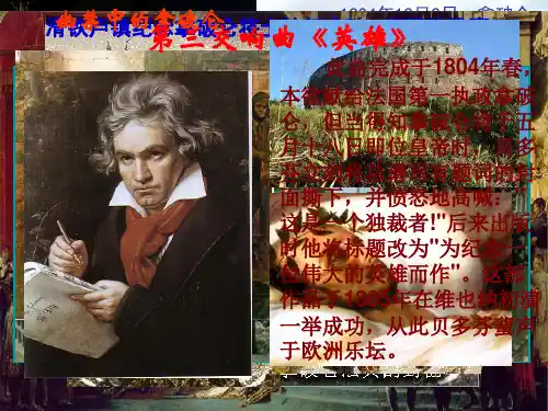 高中历史人物评说-拿破仑