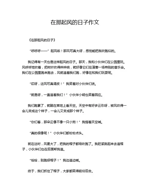 在那起风的日子作文