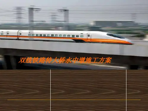 双线铁路特大桥水中墩施工方案