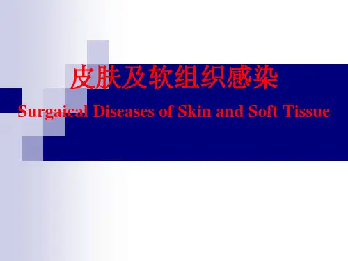 皮肤软组织感染课件