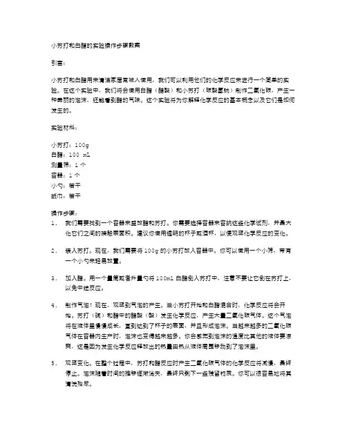 小苏打和白醋的实验操作步骤教案