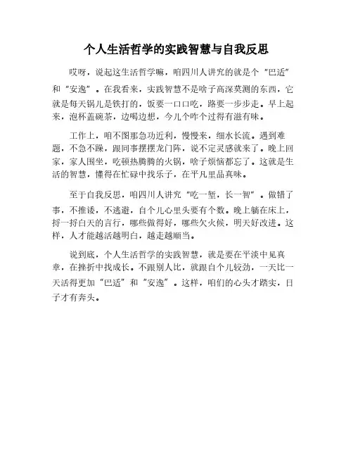 个人生活哲学的实践智慧与自我反思