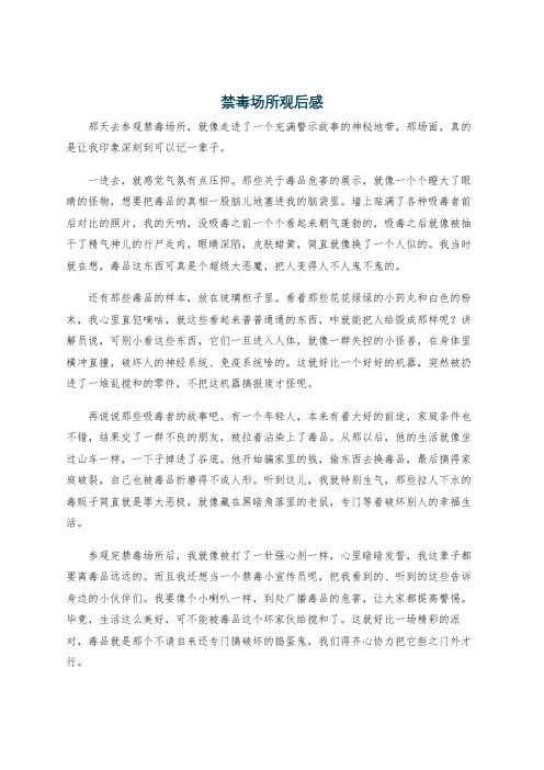禁毒场所观后感