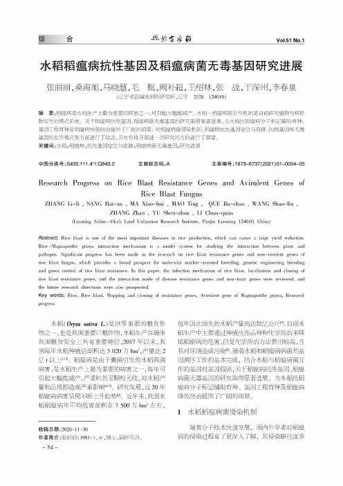 水稻稻瘟病抗性基因及稻瘟病菌无毒基因研究进展