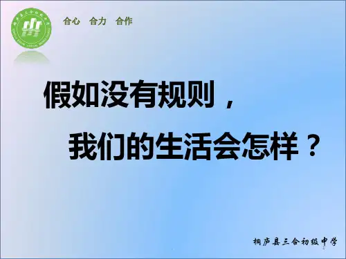 生活离不开规则PPT课件