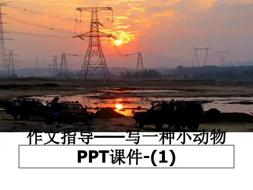 最新作文指导——写一种小动物PPT课件-(1)课件ppt
