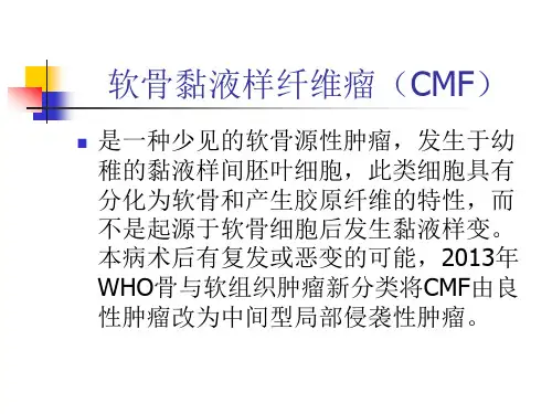 软骨黏液样纤维瘤