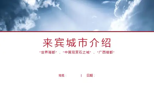 来宾介绍-来宾简介PPT(经典版)