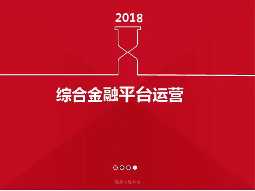 【精编】综合金融平台运营PPT课件