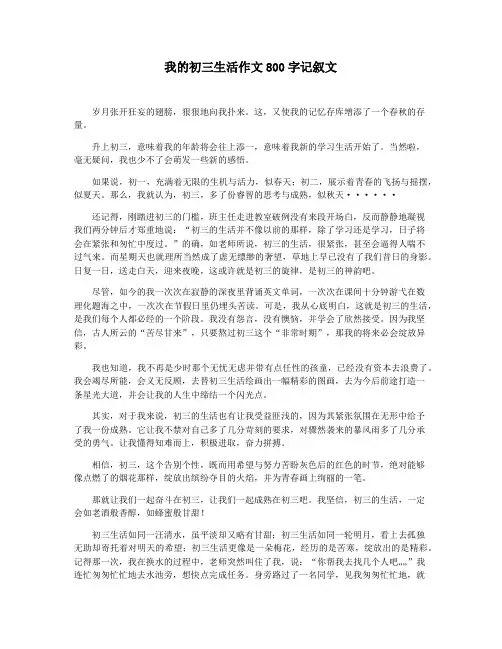 我的初三生活作文800字记叙文