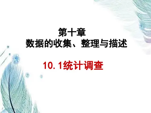 统计调查PPT课件
