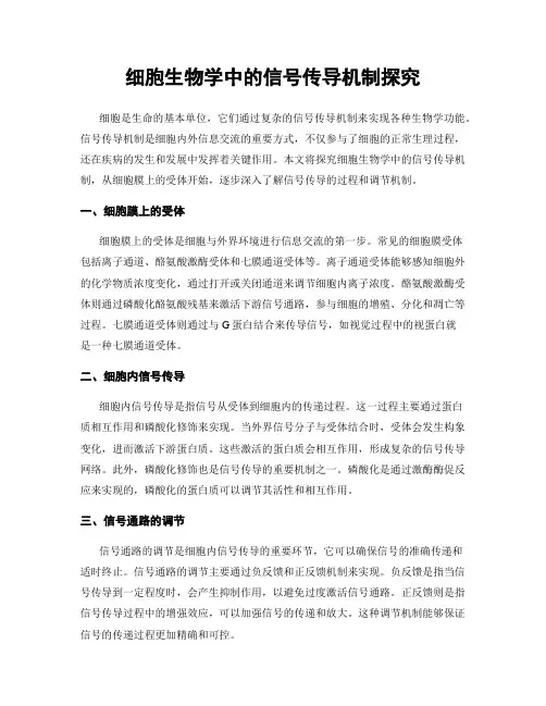 细胞生物学中的信号传导机制探究