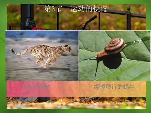 人教版物理八年级上册第1章第3节《运动的快慢》ppt课件