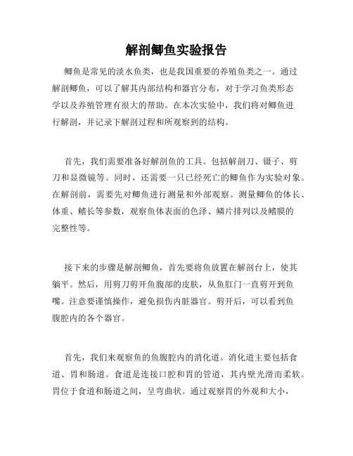 解剖鲫鱼实验报告
