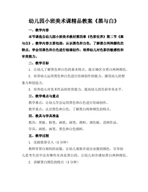幼儿园小班美术课精品教案《黑与白》