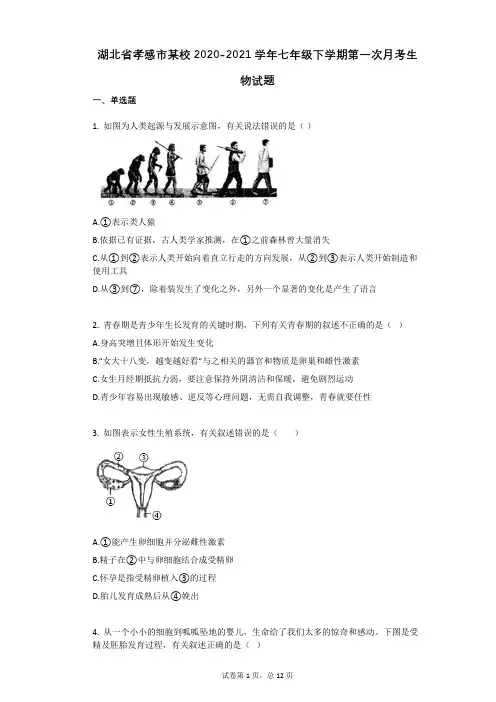 湖北省孝感市某校2020-2021学年七年级下学期第一次月考生物试题(有答案)
