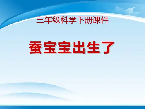《蚕宝宝出生了》我们来养蚕PPT课件3