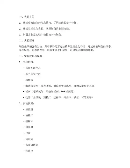 未知细菌鉴别实验报告