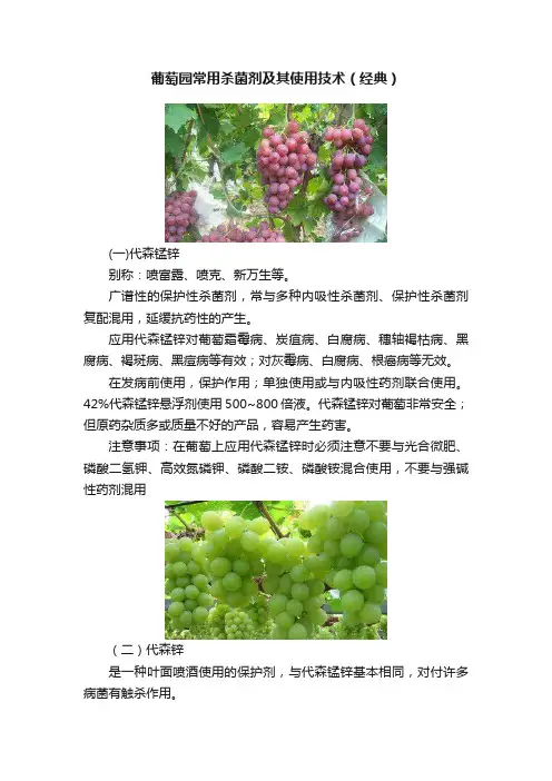 葡萄园常用杀菌剂及其使用技术（经典）