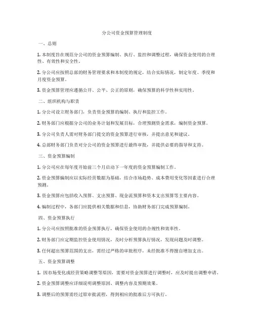 分公司资金预算管理制度