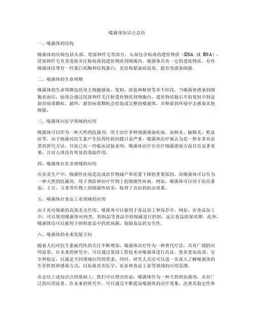 噬菌体知识点总结