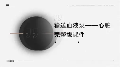 输送血液泵——心脏完整版课件