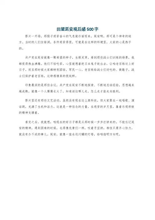 回望延安观后感500字
