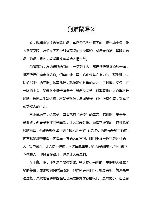 狗猫鼠课文