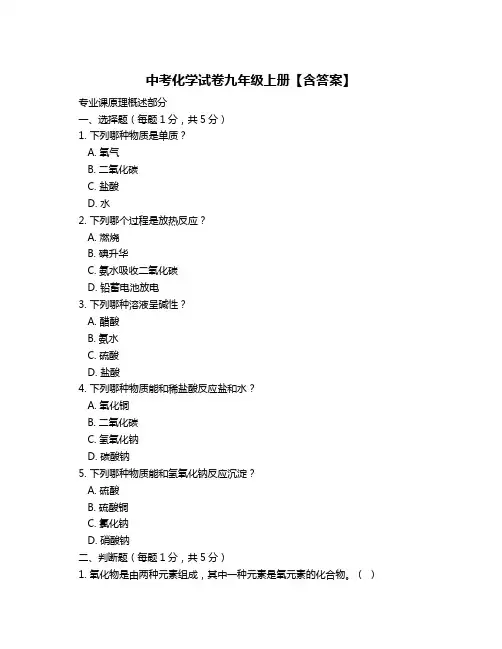 中考化学试卷九年级上册【含答案】