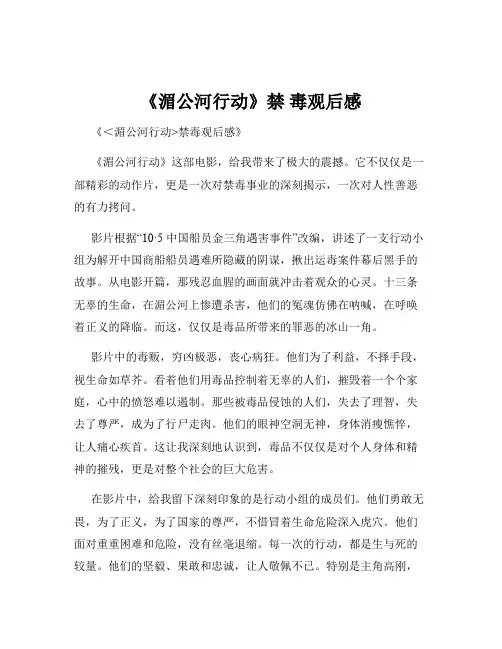 《湄公河行动》禁 毒观后感