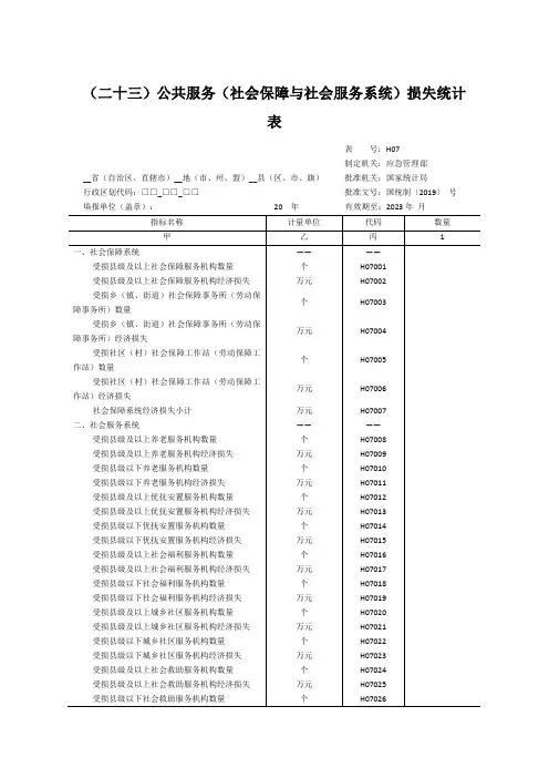 特别重大自然灾害公共服务(社会保障与社会服务系统)损失统计表-2020版