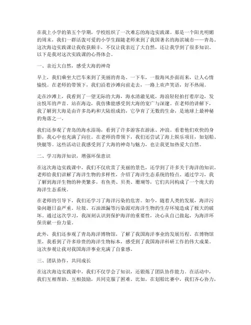 小学生海边实践课心得体会