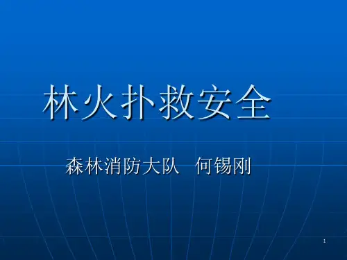 林火扑救安全ppt课件