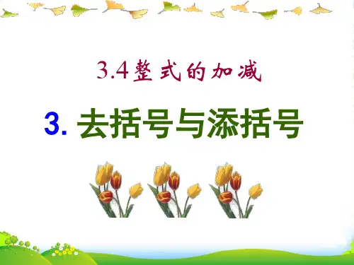 新华师大版七年级数学上册《去括号与添括号》课件
