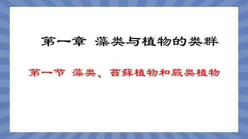 教学课件生物人教版(2024版)七年级上册2.1.1 藻类、苔藓植物和蕨类植物 课件02