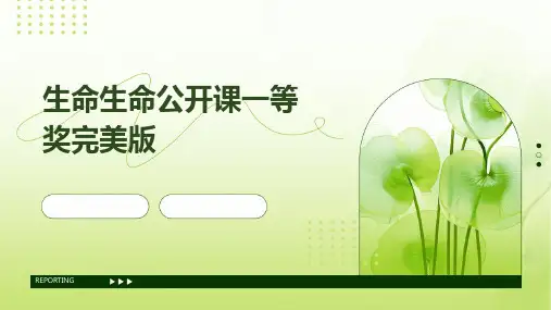 生命生命(公开课一等奖完美版)