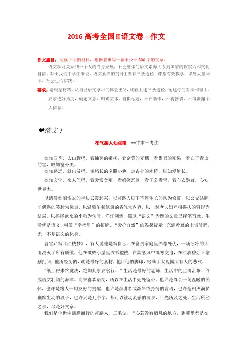 2016高考全国二卷作文范文
