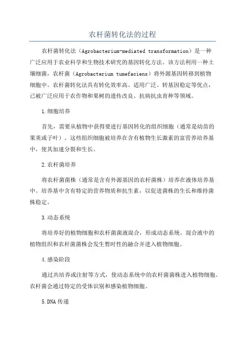 农杆菌转化法的过程