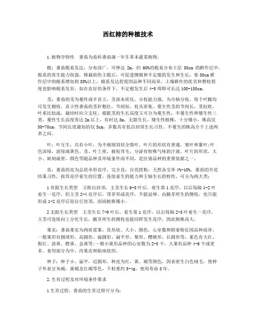 西红柿的种植技术
