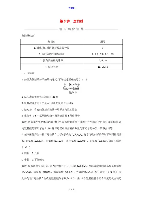 版高考生物一轮复习 第一单元 走近细胞和组成细胞的分子 第3讲 蛋白质课时强化训练(含解析)-人教版