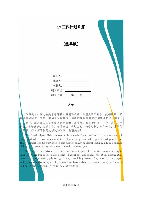 it工作计划5篇