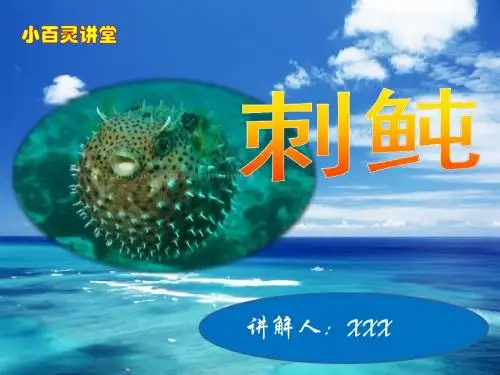 (原创-学生课外知识交流讲解PPT)小百灵讲堂-刺鲀-2017年5月