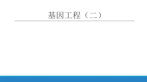 高三生物二轮复习课件基因工程(二)