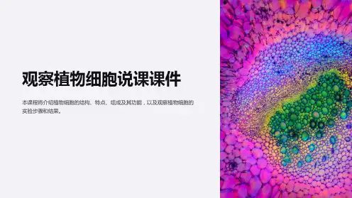 观察植物细胞说课课件