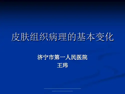 最新皮肤组织病理的基本变化