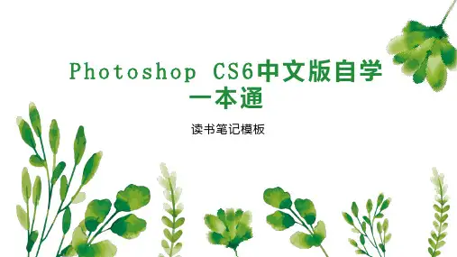 Photoshop CS6中文版自学一本通