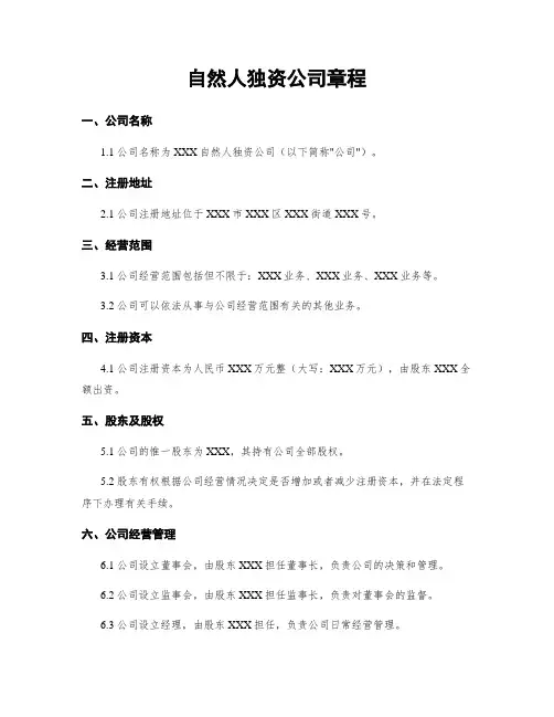 自然人独资公司章程