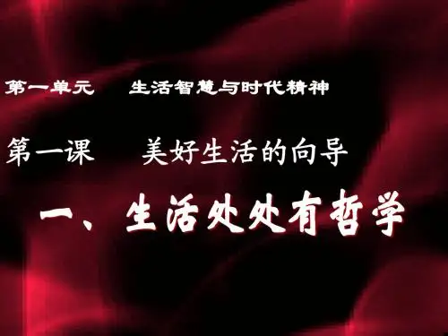 人教版必修4：第一课_第一框_生活处处有哲学课件