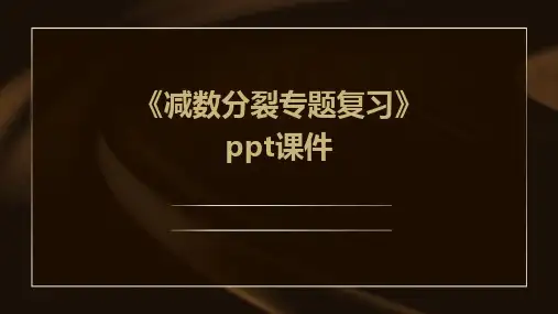 《减数分裂专题复习》课件