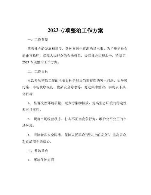 2023专项整治工作方案